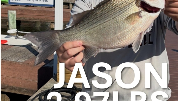 Everything is biting