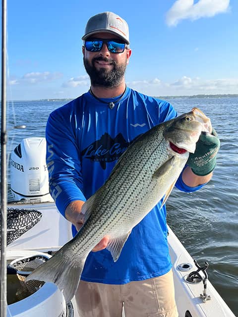 Collin Edwards Professional Guide of Lake Conroe Fishing Adventures holds Hybrid Striped Bass